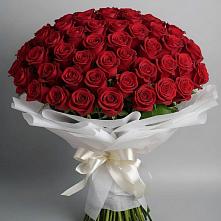Букет 101 Красная роза Блэк Мэджик в Есипово