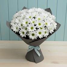 Букет цветов из:  Хризантемы #REPLACE_PRED# Есипово