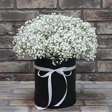 Цветочная композиция из Гипсофила в шляпной коробке в Есипово