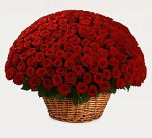 Премиум букет из: Розы в Есипово